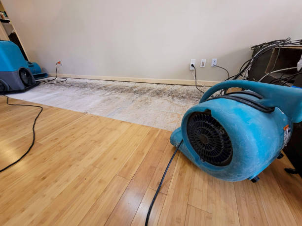 Professional Sewage Cleanup technician working in Northvale, NJ